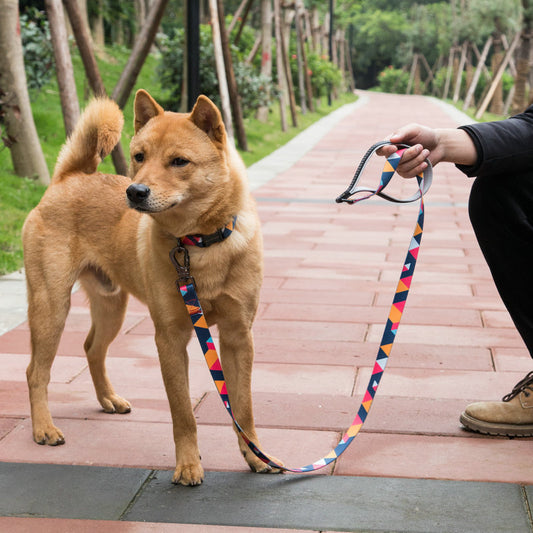 Geometric Pattern Dog Training Leash with Wrist Loop - My Store