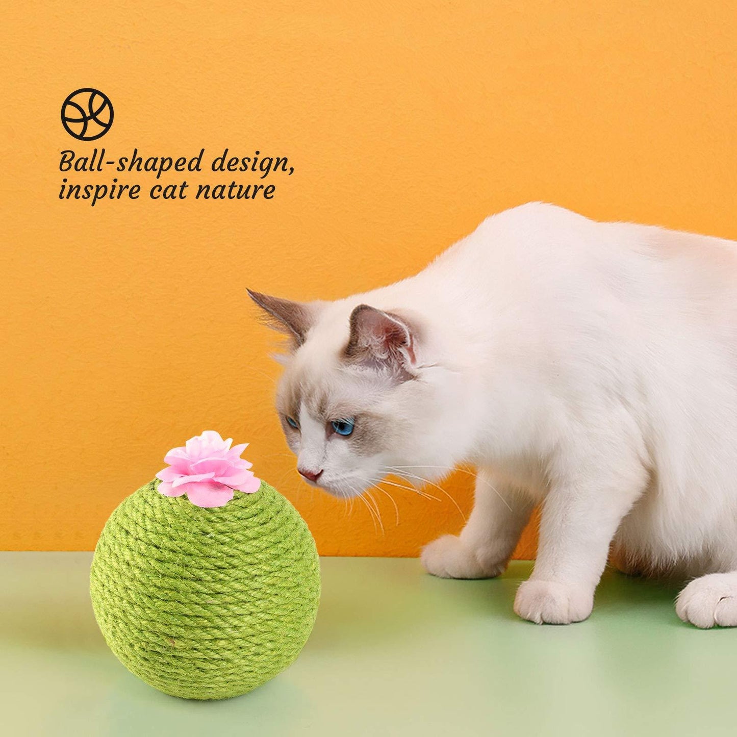 Furniture Friendly Catnip Tumbler Toy for Cats - My Store