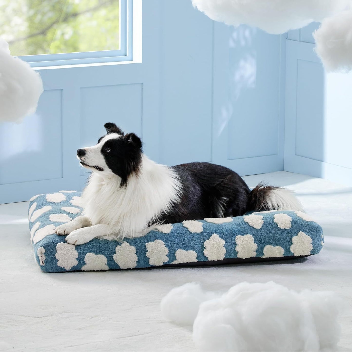 Cute Calming Foam Dog Bed for Kennel - My Store