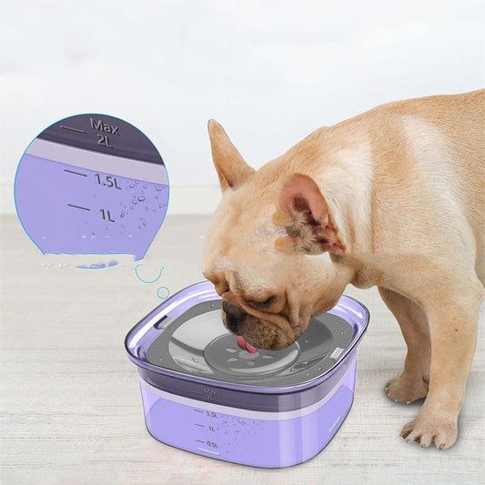 Splash Proof Dog Water Bowl - My Store