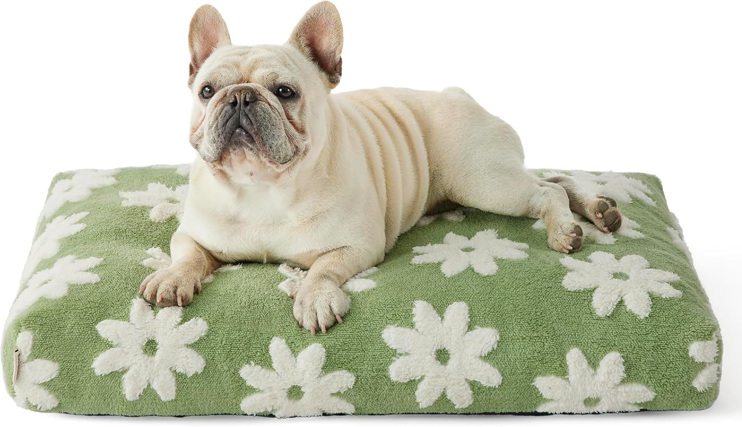 Cute Calming Foam Dog Bed for Kennel - My Store