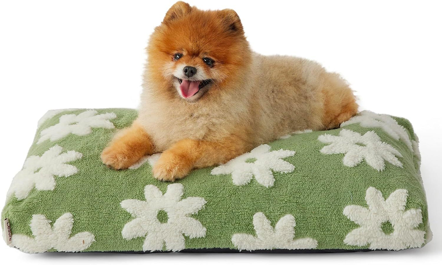 Cute Calming Foam Dog Bed for Kennel - My Store