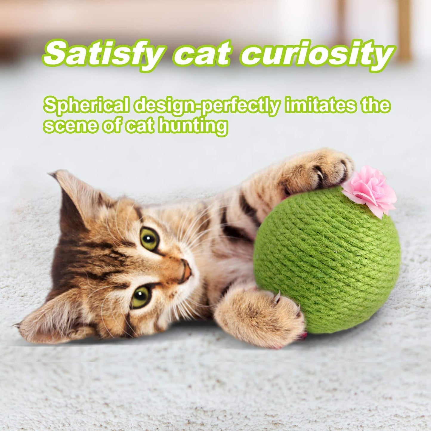 Furniture Friendly Catnip Tumbler Toy for Cats - My Store